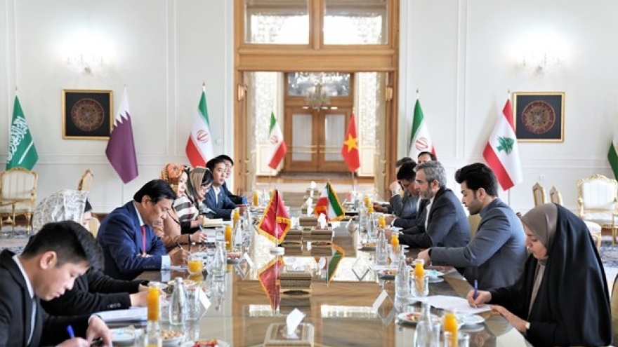 Iran, Vietnam hold political consultation at deputy foreign ministerial level